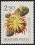 植物:欧洲:匈牙利:hu196518.jpg