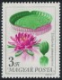 植物:欧洲:匈牙利:hu196519.jpg
