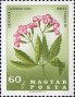 植物:欧洲:匈牙利:hu196702.jpg