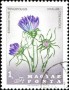 植物:欧洲:匈牙利:hu196703.jpg
