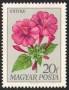 植物:欧洲:匈牙利:hu196801.jpg