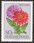 植物:欧洲:匈牙利:hu196803.jpg