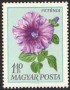 植物:欧洲:匈牙利:hu196805.jpg