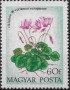 植物:欧洲:匈牙利:hu197302.jpg