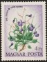 植物:欧洲:匈牙利:hu197306.jpg