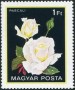 植物:欧洲:匈牙利:hu198201.jpg
