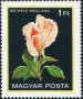 植物:欧洲:匈牙利:hu198202.jpg