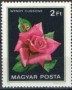 植物:欧洲:匈牙利:hu198204.jpg