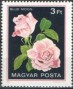 植物:欧洲:匈牙利:hu198205.jpg
