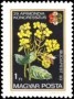 植物:欧洲:匈牙利:hu198301.jpg