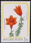 植物:欧洲:匈牙利:hu198501.jpg