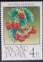 植物:欧洲:匈牙利:hu198605.jpg