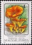 植物:欧洲:匈牙利:hu198611.jpg