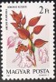植物:欧洲:匈牙利:hu198701.jpg