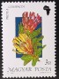 植物:欧洲:匈牙利:hu199003.jpg