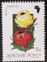 植物:欧洲:匈牙利:hu199004.jpg