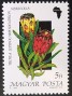 植物:欧洲:匈牙利:hu199005.jpg