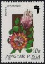 植物:欧洲:匈牙利:hu199006.jpg