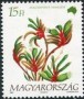 植物:欧洲:匈牙利:hu199203.jpg