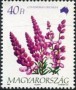 植物:欧洲:匈牙利:hu199204.jpg