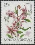 植物:欧洲:匈牙利:hu199303.jpg