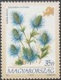 植物:欧洲:匈牙利:hu199403.jpg