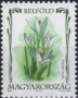 植物:欧洲:匈牙利:hu200901.jpg