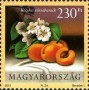 植物:欧洲:匈牙利:hu201202.jpg