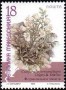 植物:欧洲:北马其顿:mk199903.jpg
