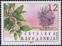 植物:欧洲:北马其顿:mk200102.jpg