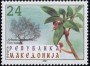 植物:欧洲:北马其顿:mk200103.jpg