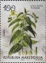 植物:欧洲:北马其顿:mk201505.jpg