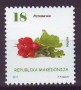 植物:欧洲:北马其顿:mk201708.jpg