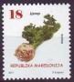 植物:欧洲:北马其顿:mk201710.jpg