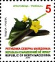植物:欧洲:北马其顿:mk201904.jpg