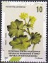 植物:欧洲:北马其顿:mk202301.jpg