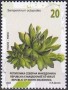 植物:欧洲:北马其顿:mk202302.jpg