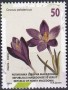 植物:欧洲:北马其顿:mk202303.jpg