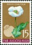 植物:欧洲:南斯拉夫:yu195503.jpg