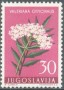植物:欧洲:南斯拉夫:yu195705.jpg