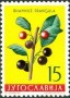 植物:欧洲:南斯拉夫:yu195902.jpg
