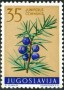 植物:欧洲:南斯拉夫:yu195906.jpg