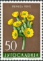 植物:欧洲:南斯拉夫:yu195907.jpg
