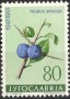 植物:欧洲:南斯拉夫:yu196108.jpg