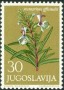 植物:欧洲:南斯拉夫:yu196502.jpg