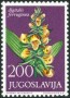 植物:欧洲:南斯拉夫:yu196506.jpg