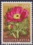 植物:欧洲:南斯拉夫:yu196901.jpg