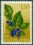 植物:欧洲:南斯拉夫:yu197102.jpg
