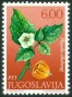 植物:欧洲:南斯拉夫:yu197106.jpg