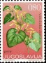 植物:欧洲:南斯拉夫:yu197301.jpg